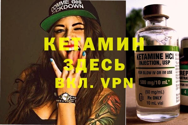 трава Аркадак
