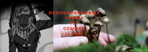 трава Аркадак