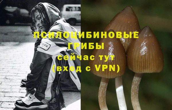 mdpv Балахна