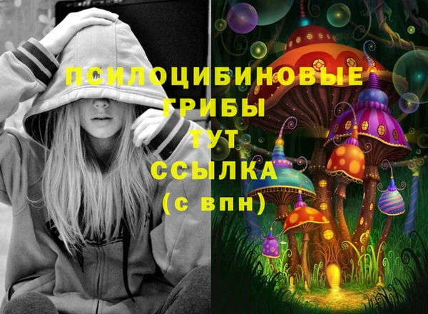 трава Аркадак