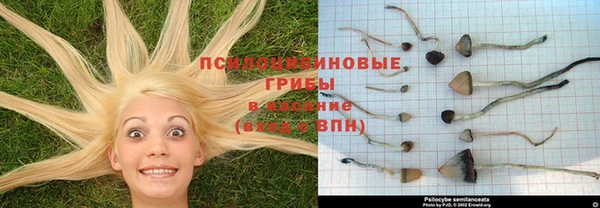 mdpv Балахна