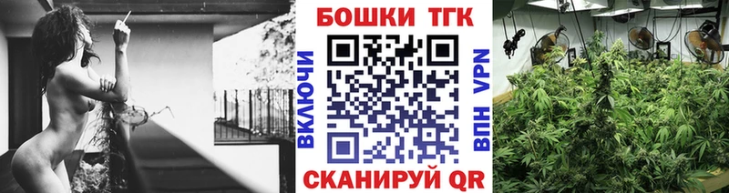 Каннабис семена Медногорск
